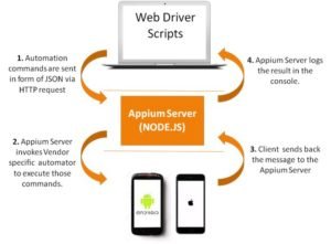 web driver script